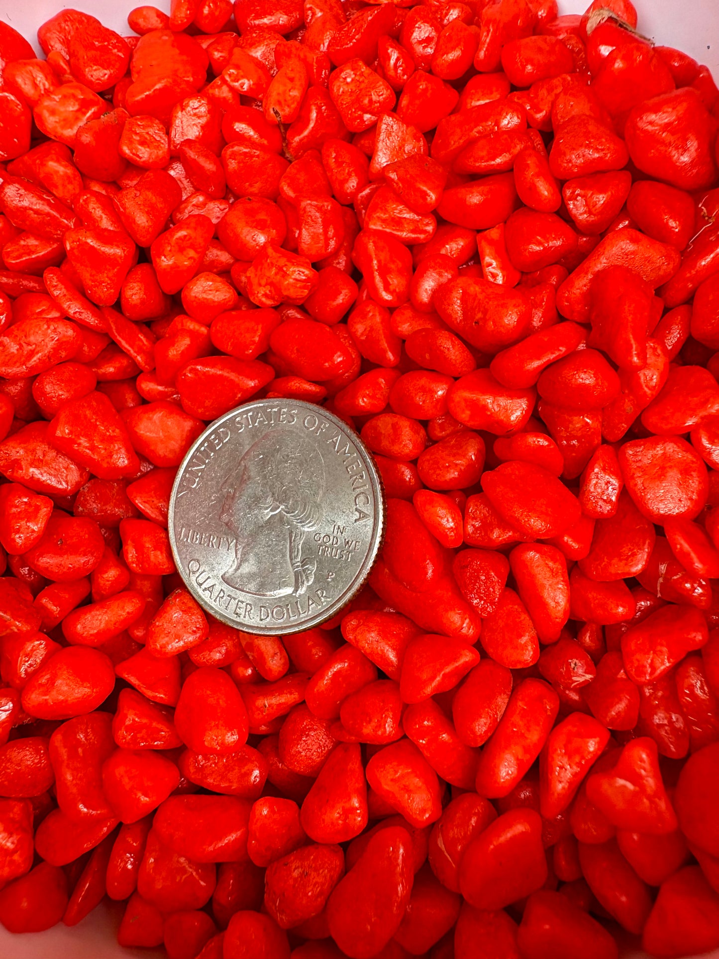 Red pebbles with a quarter coin for scale on a white background