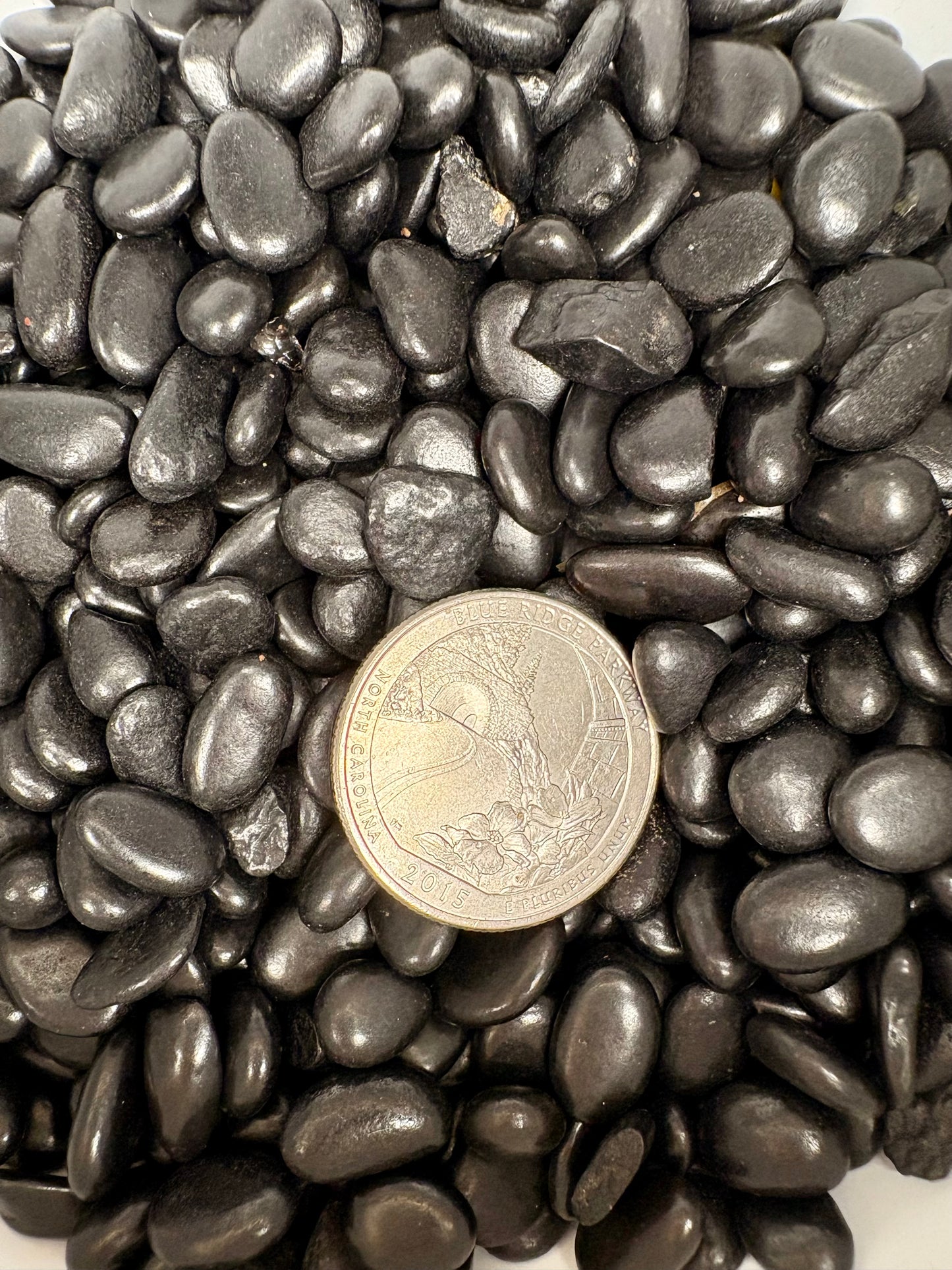Black pebbles with a coin for size comparison on a white background
