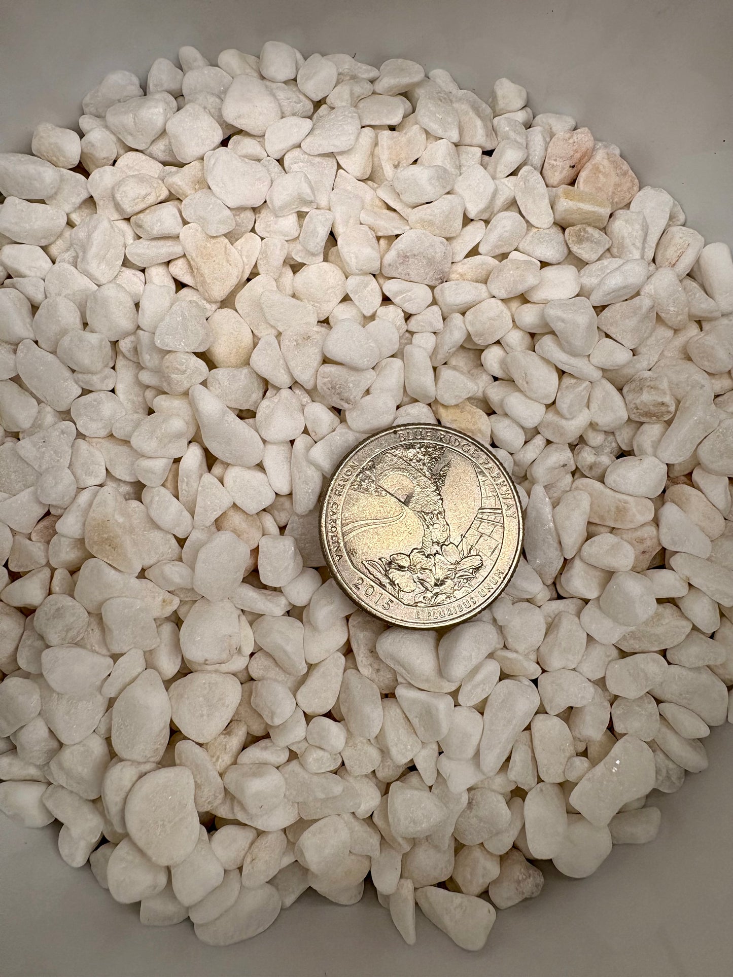 Small white pebbles with a coin for scale on a light gray background