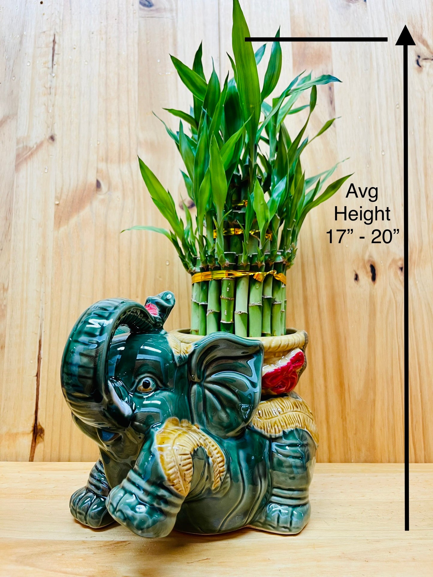 Jumbo Ceramic Lucky Bamboo Elephant