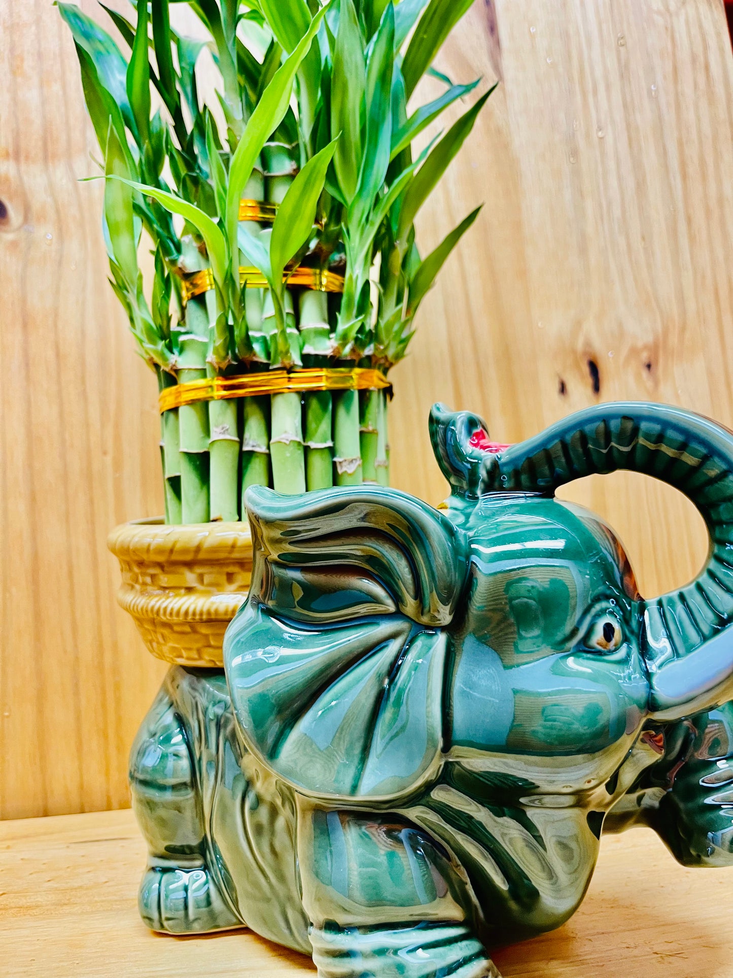 Jumbo Ceramic Lucky Bamboo Elephant
