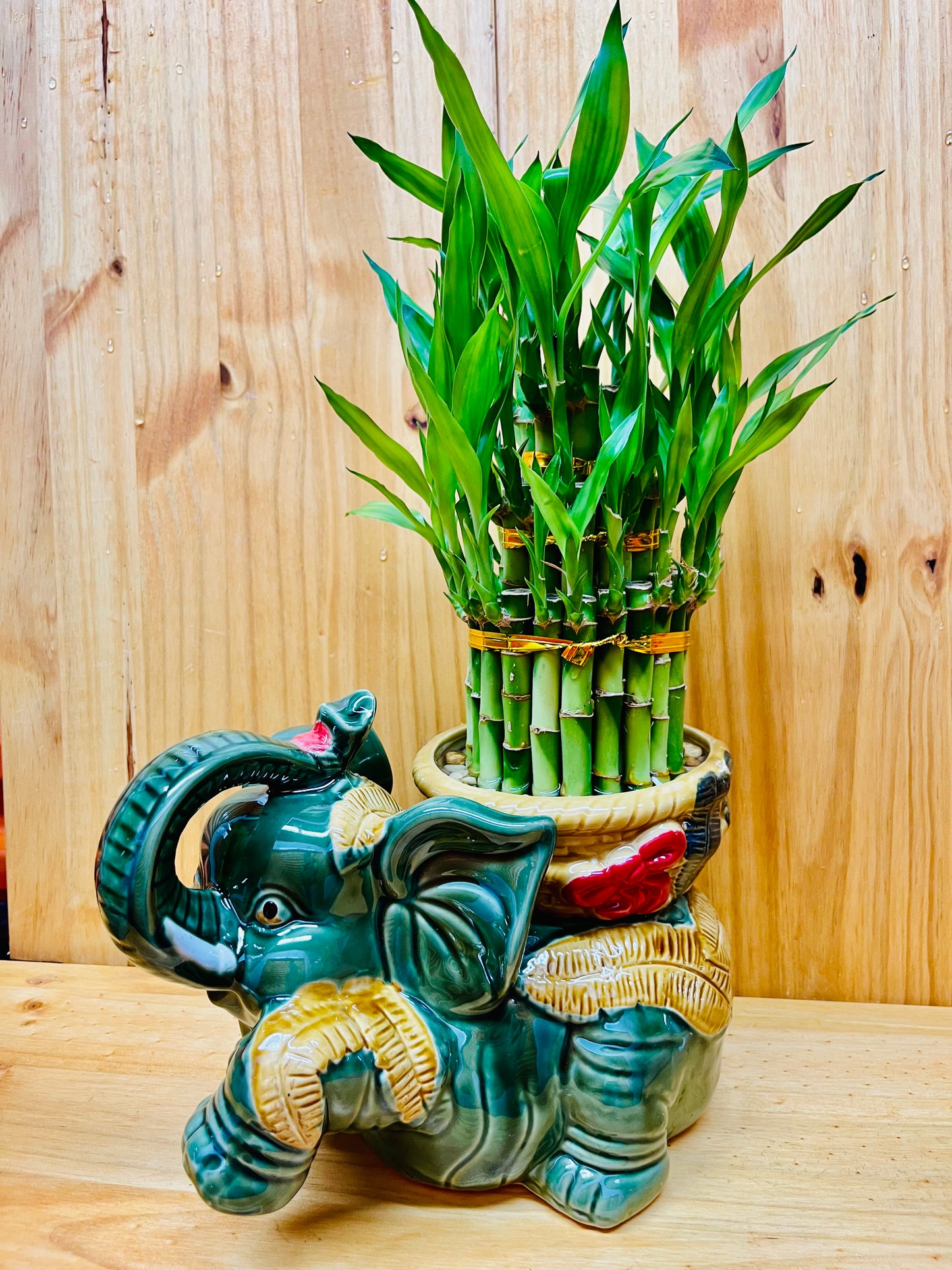 Jumbo Ceramic Lucky Bamboo Elephant