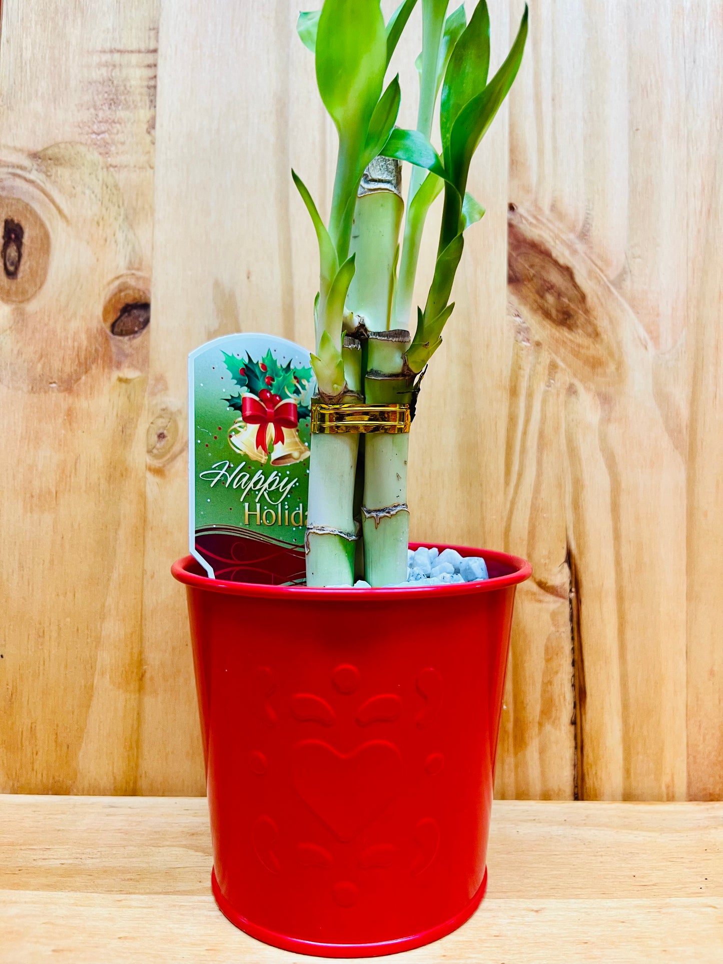 Maceta festiva de metal rojo Lucky Bamboo de 6”6”8” con diseño de corazón que incluye chips de roca de mármol