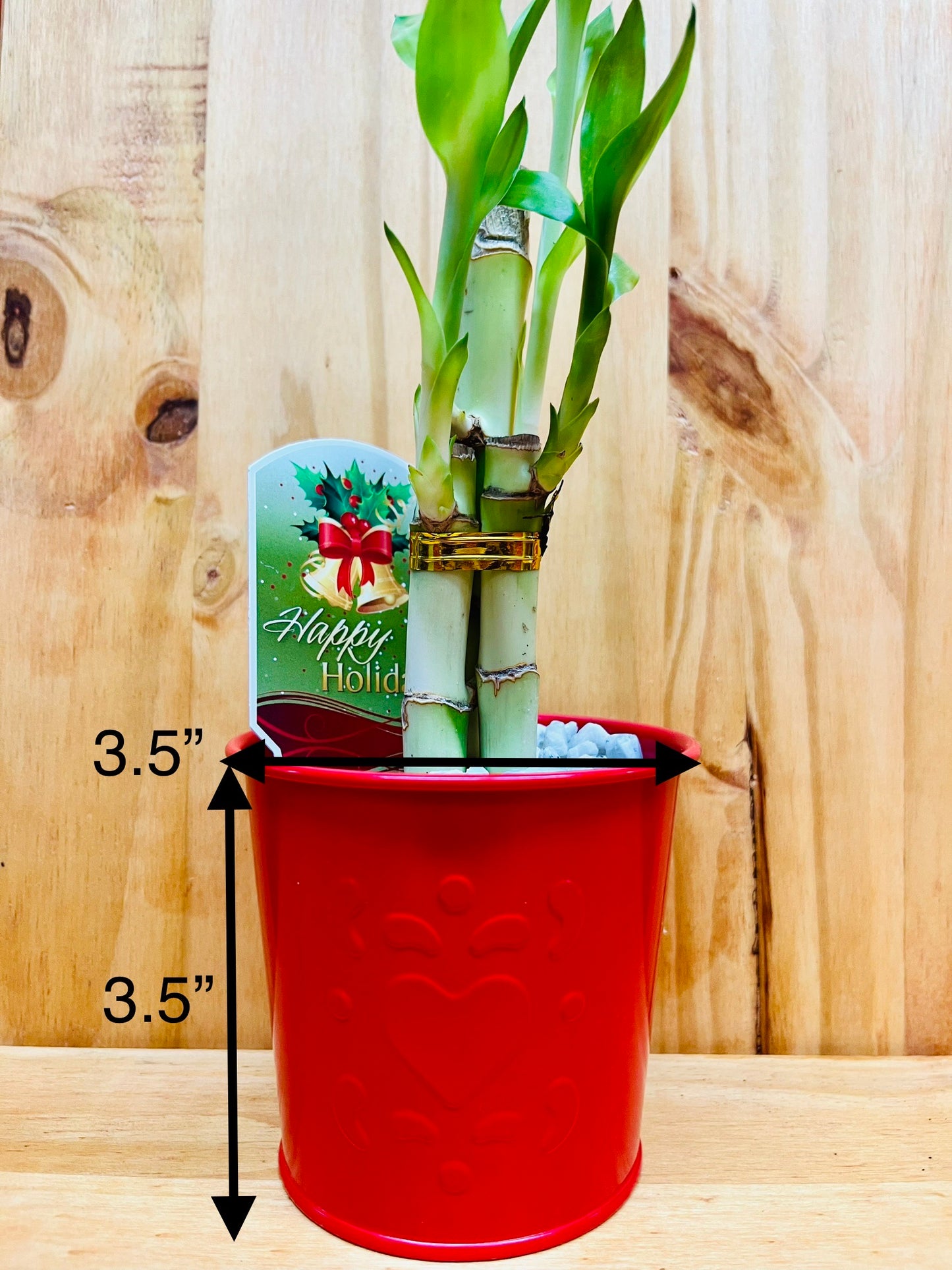 Maceta festiva de metal rojo Lucky Bamboo de 6”6”8” con diseño de corazón que incluye chips de roca de mármol