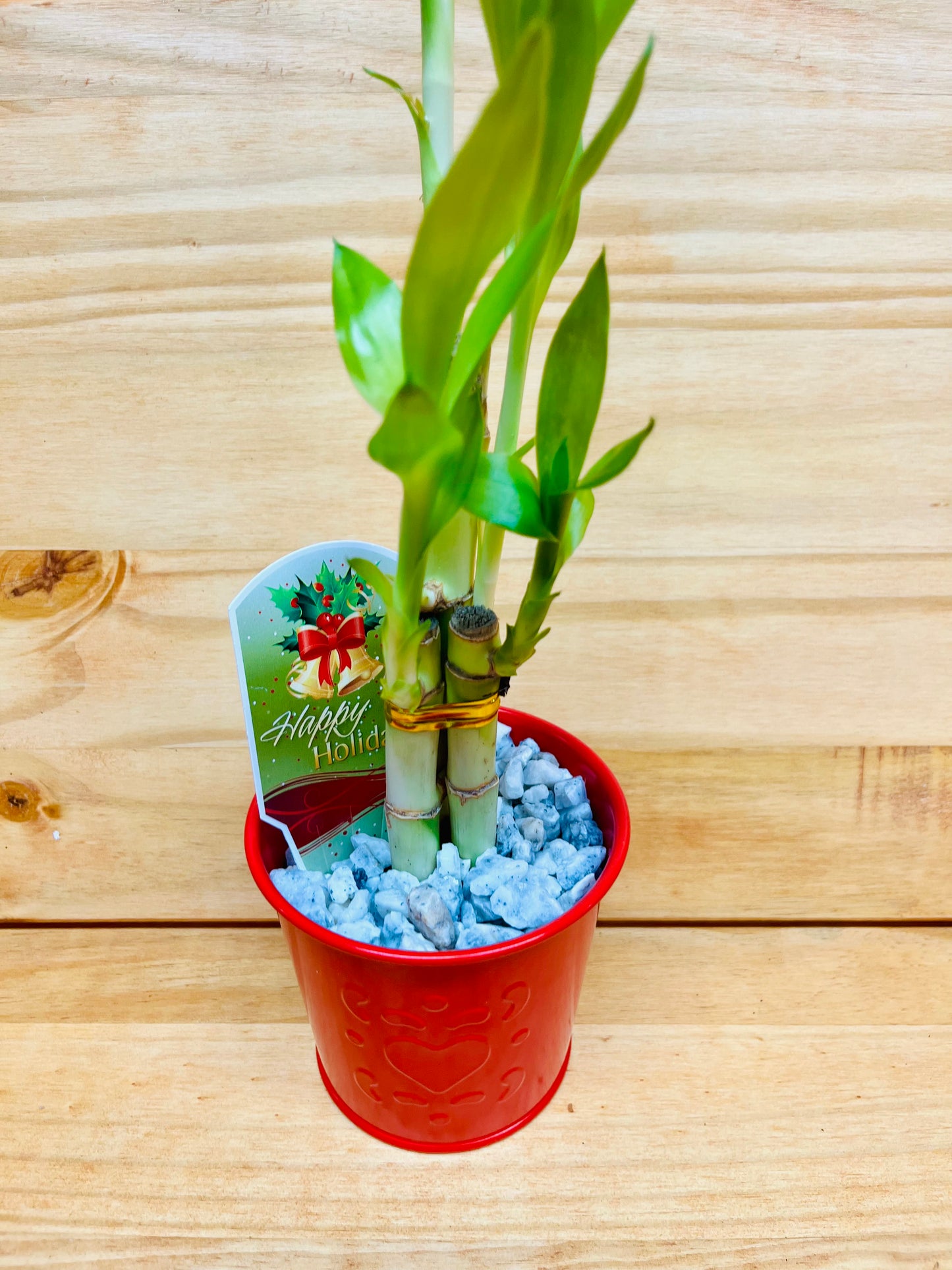 Maceta festiva de metal rojo Lucky Bamboo de 6”6”8” con diseño de corazón que incluye chips de roca de mármol