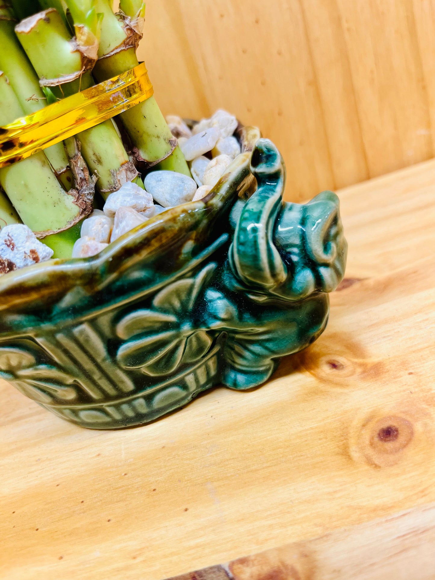 Live Lucky Bamboo Plant Two Tier Arrangements in Ceramic Vase