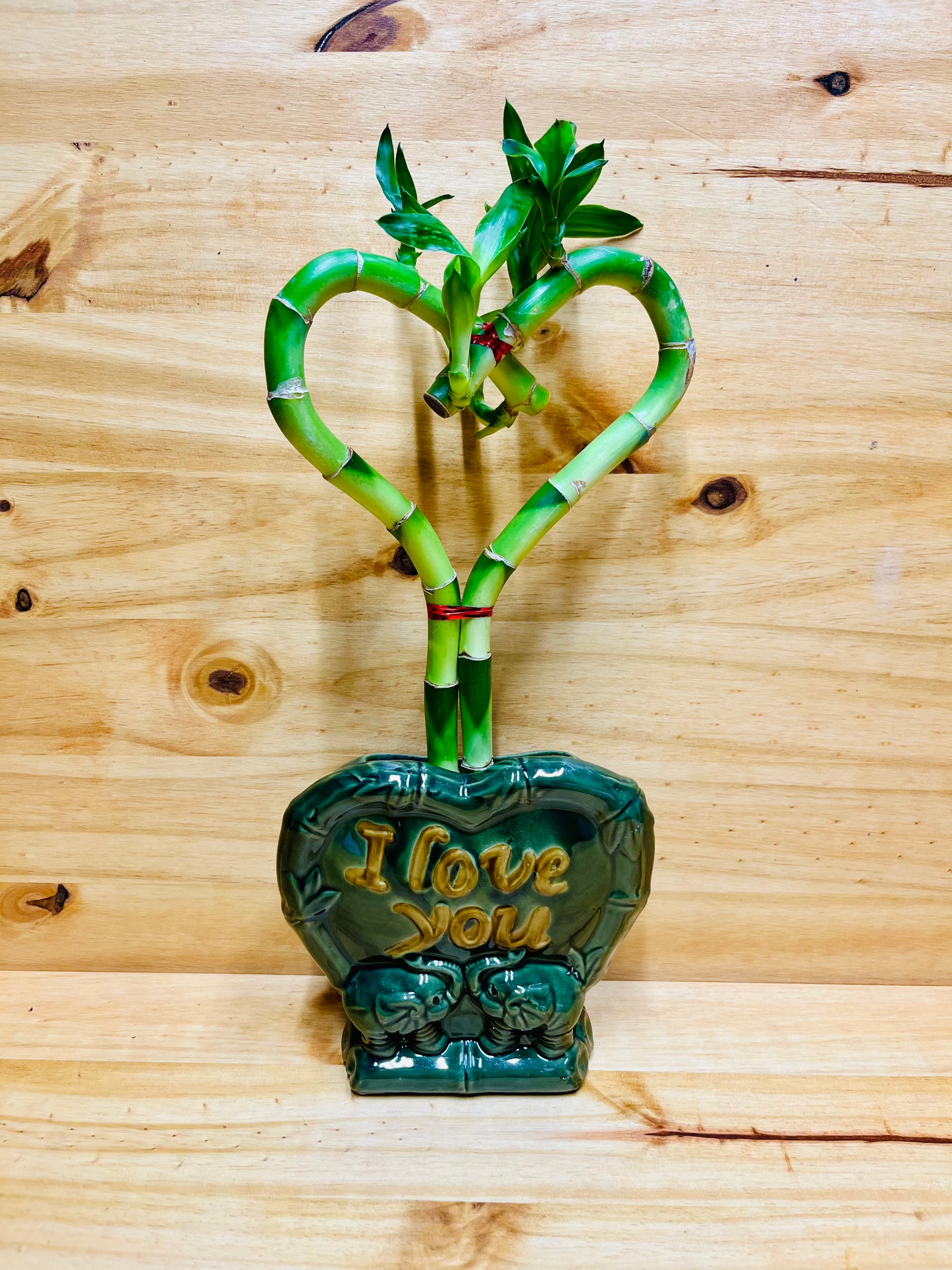 Vive la suerte de la planta de bambú en forma de corazón en un jarrón de cerámica I Love You