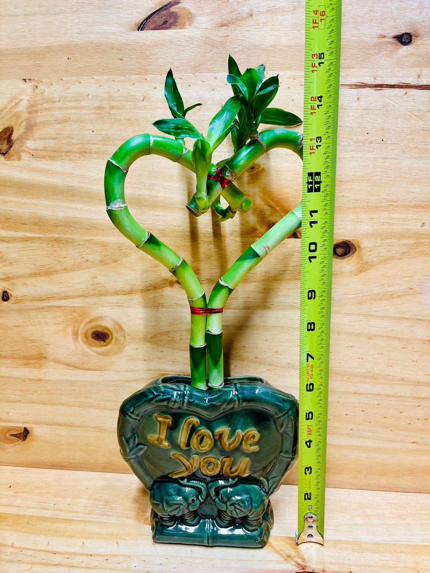 Vive la suerte de la planta de bambú en forma de corazón en un jarrón de cerámica I Love You