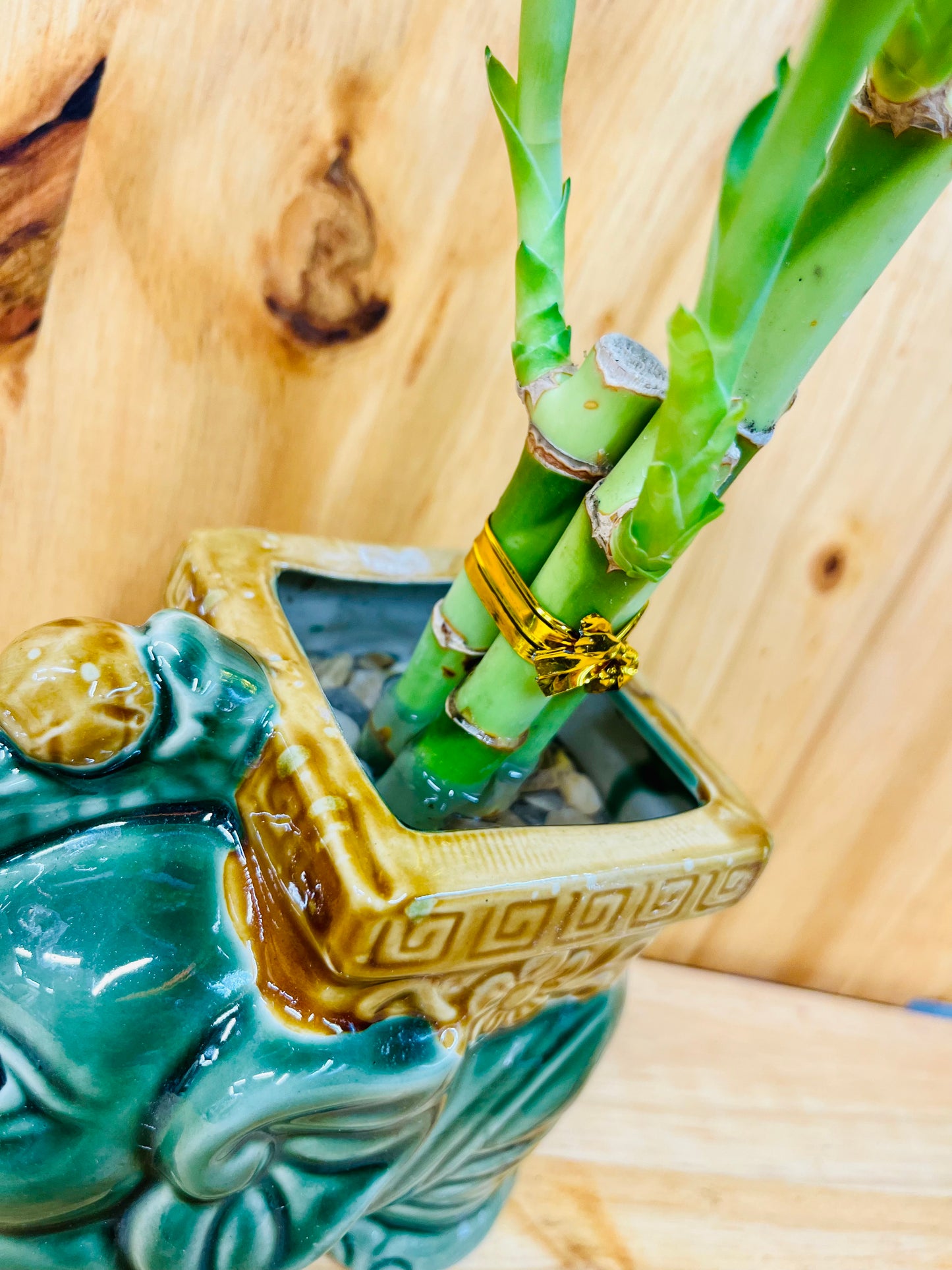 Lucky Lotus Bamboo Elephant Square en jarrón de cerámica incluye rocas de río