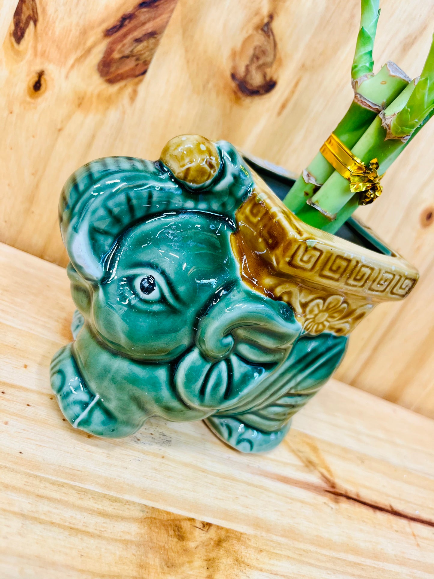 Lucky Lotus Bamboo Elephant Square en jarrón de cerámica incluye rocas de río