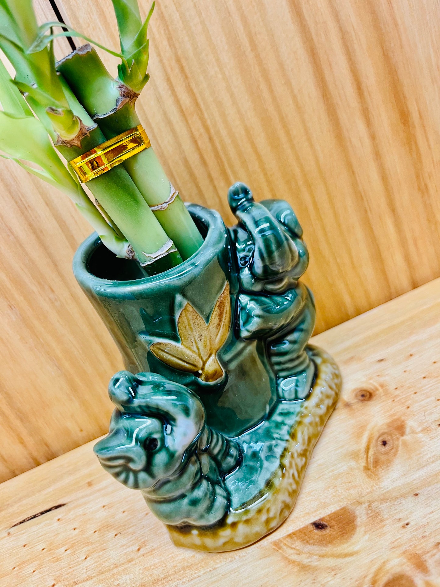 Lucky Bamboo in Ceramic Tall Elephant Vase 3 Stem 6”6”8” Bamboo includes River Pebble Rocks